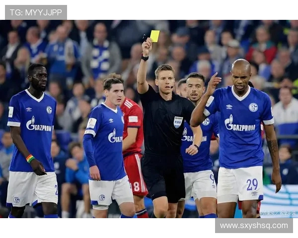 荷甲冠军荣耀归属揭晓 揭秘赛季背后的关键战役与精彩瞬间