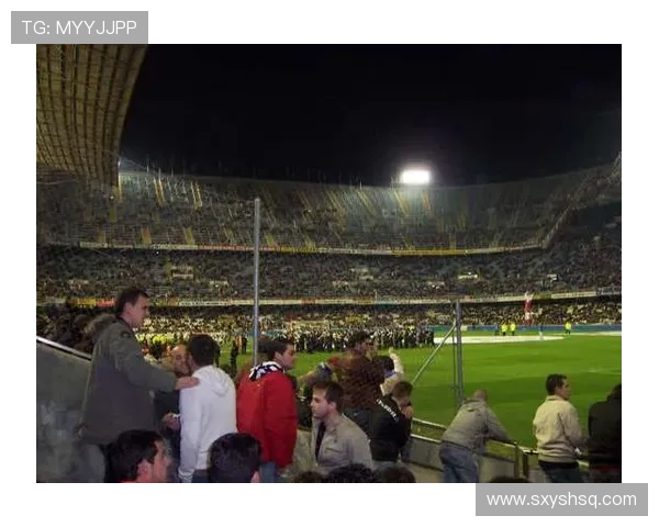 瓦伦西亚足球俱乐部历史辉煌与未来展望：一段西甲传奇的传承与创新