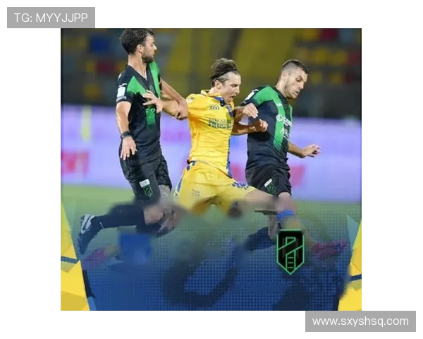 弗罗西诺内足球俱乐部的崛起与挑战：从意乙到意甲的奋斗历程